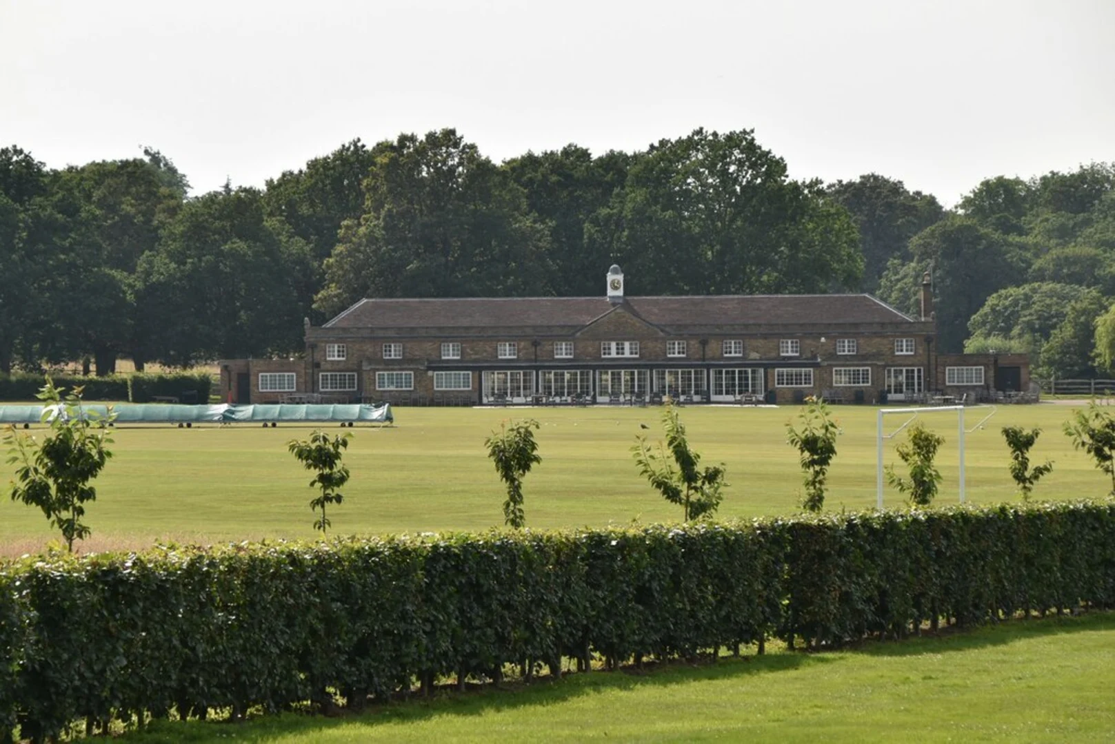An image depicting the trail Windsor Great Park Loop and its surrounding area.