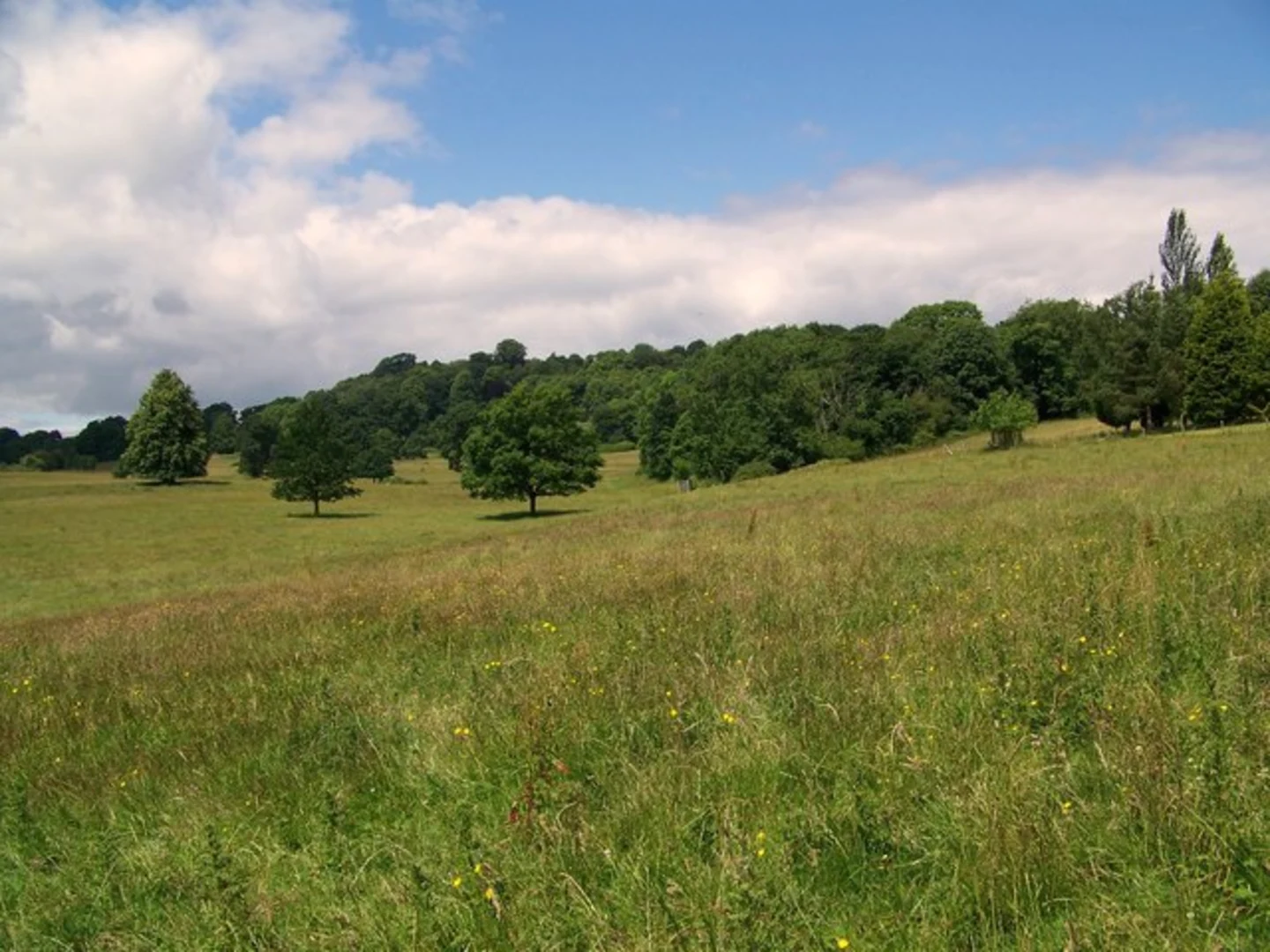 An image depicting the trail Dinton Park Easy Access Walk and its surrounding area.