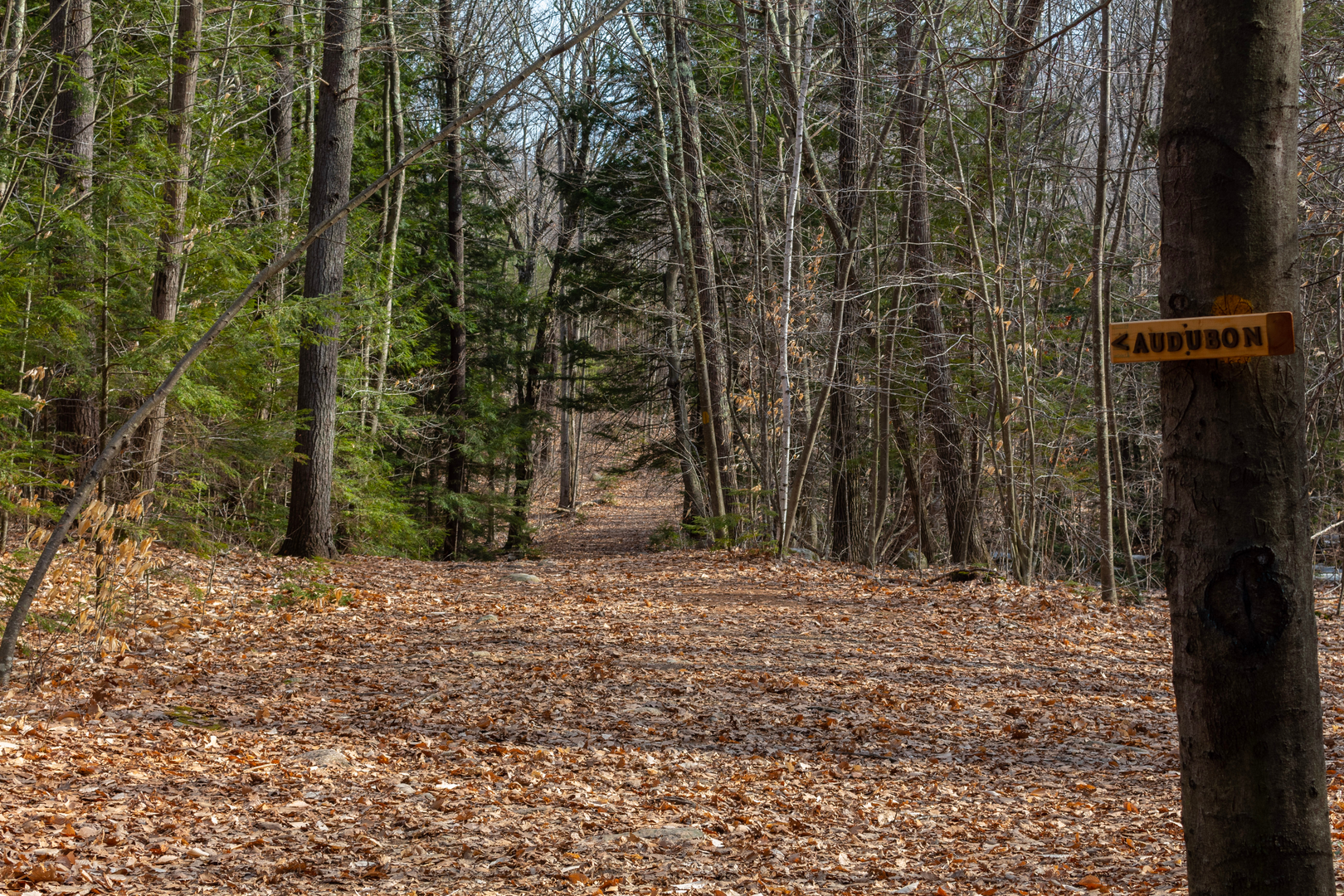 An image depicting the trail Rockingham Recreational Rail Trail - Portsmouth Branch and its surrounding area.