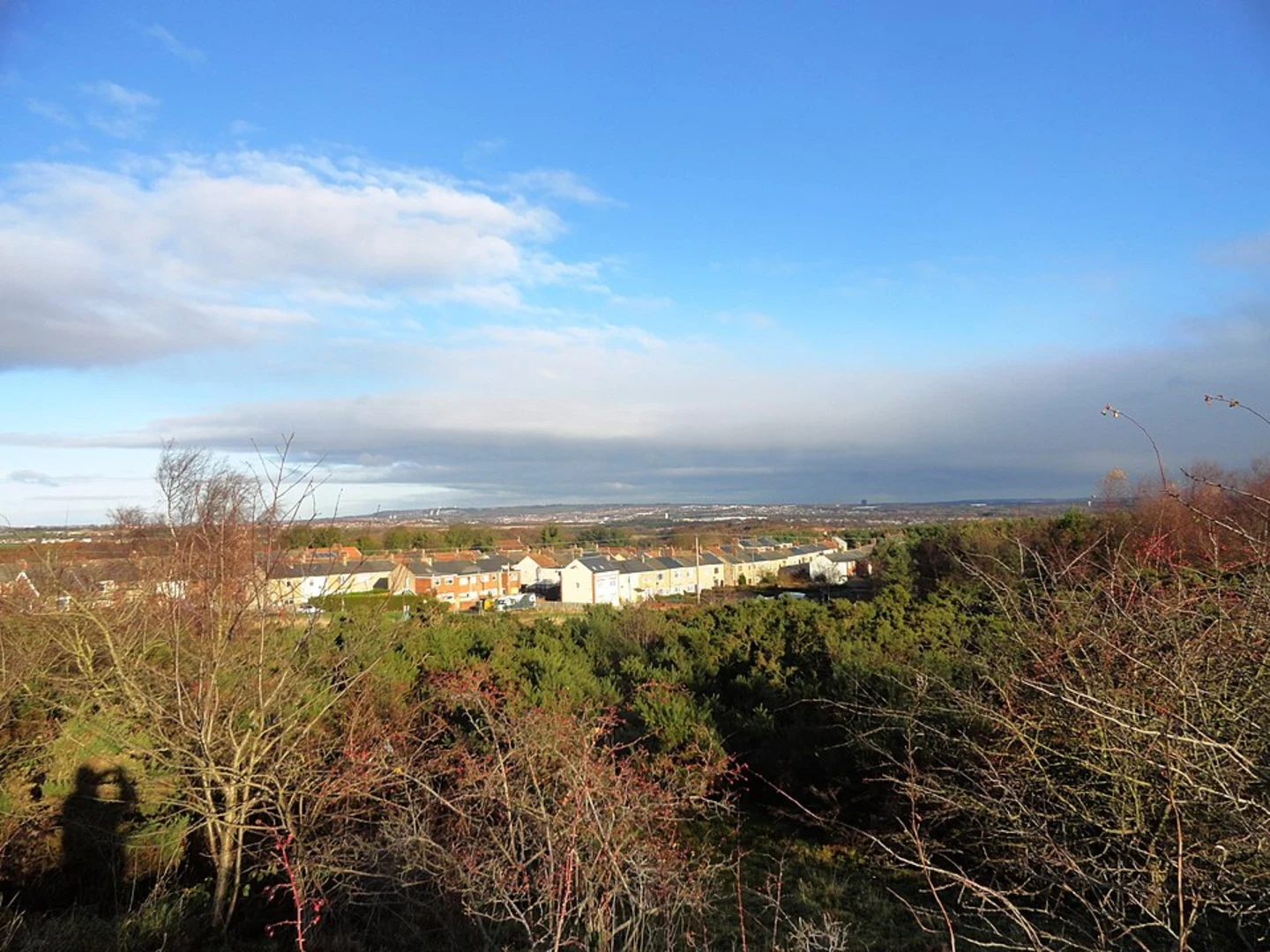 An image depicting the trail Waldridge Fell Country Park Loop and its surrounding area.