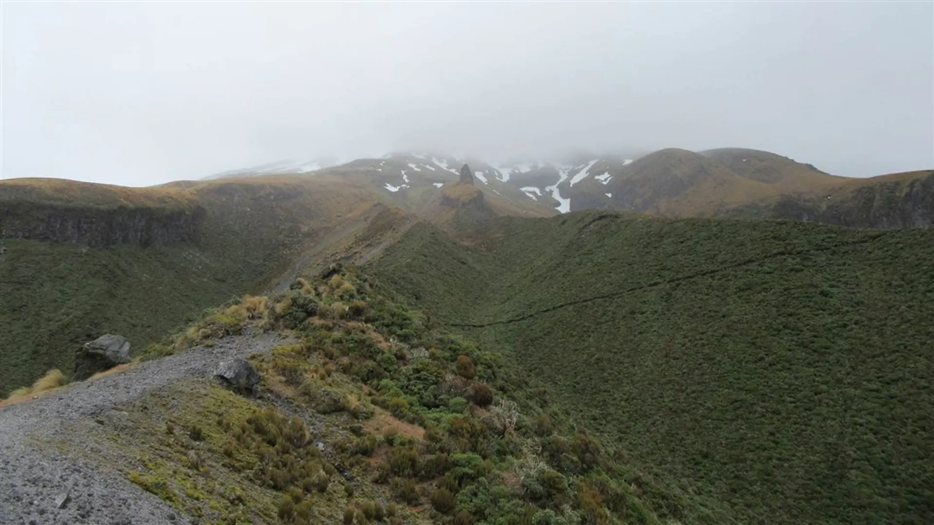 An image depicting the trail Waiwhakaiho Track and its surrounding area.
