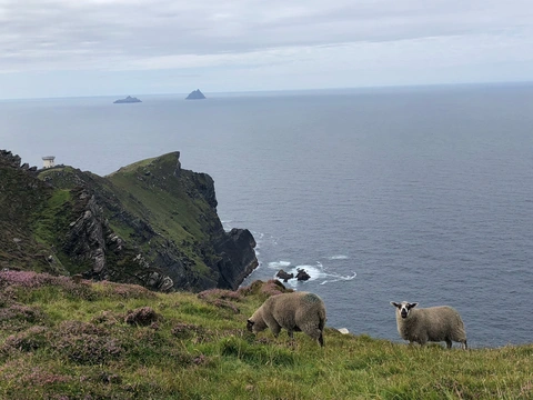 Valentia Island - Bray Head to To Geokaun