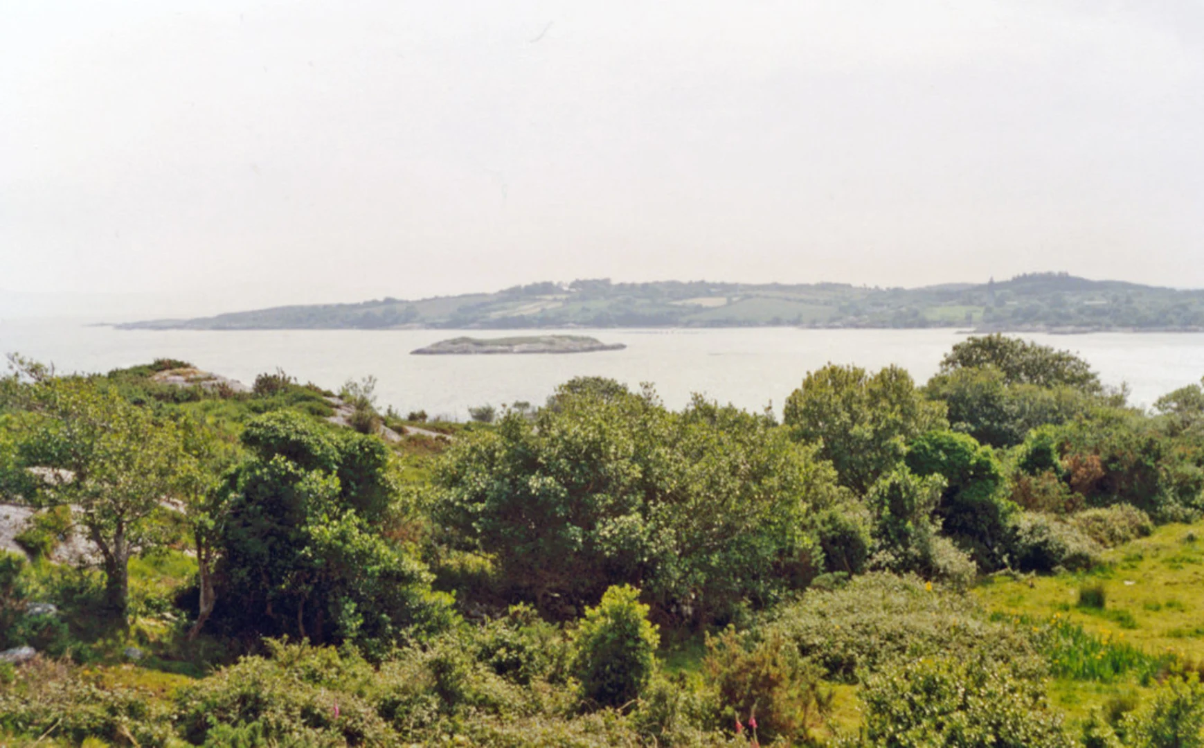 An image depicting the trail Lonehort Loops - Beara Way and its surrounding area.