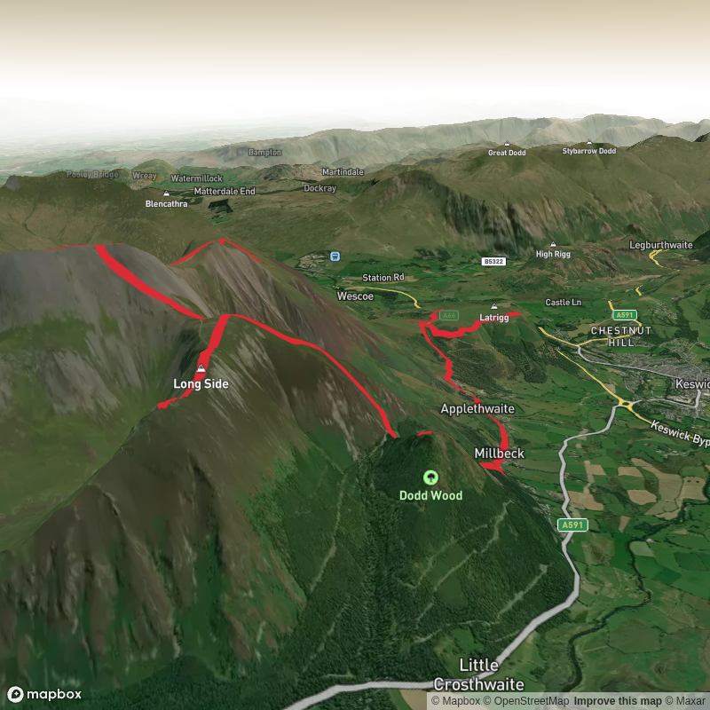 The Skiddaw Group