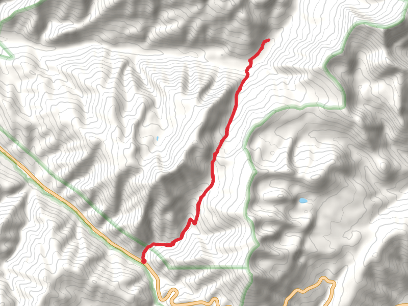Moose Meadows via Coal Creek Trail