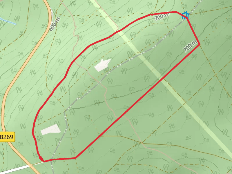 Usarkopf Loop