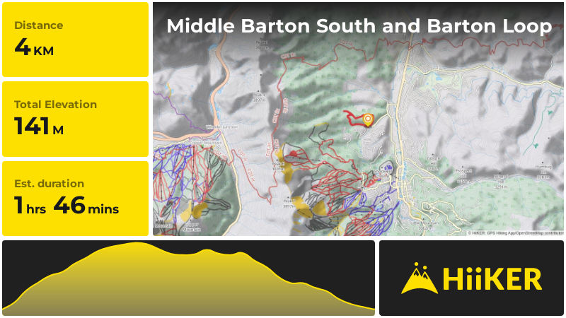 Middle Barton South and Barton Loop | Summit County | Colorado