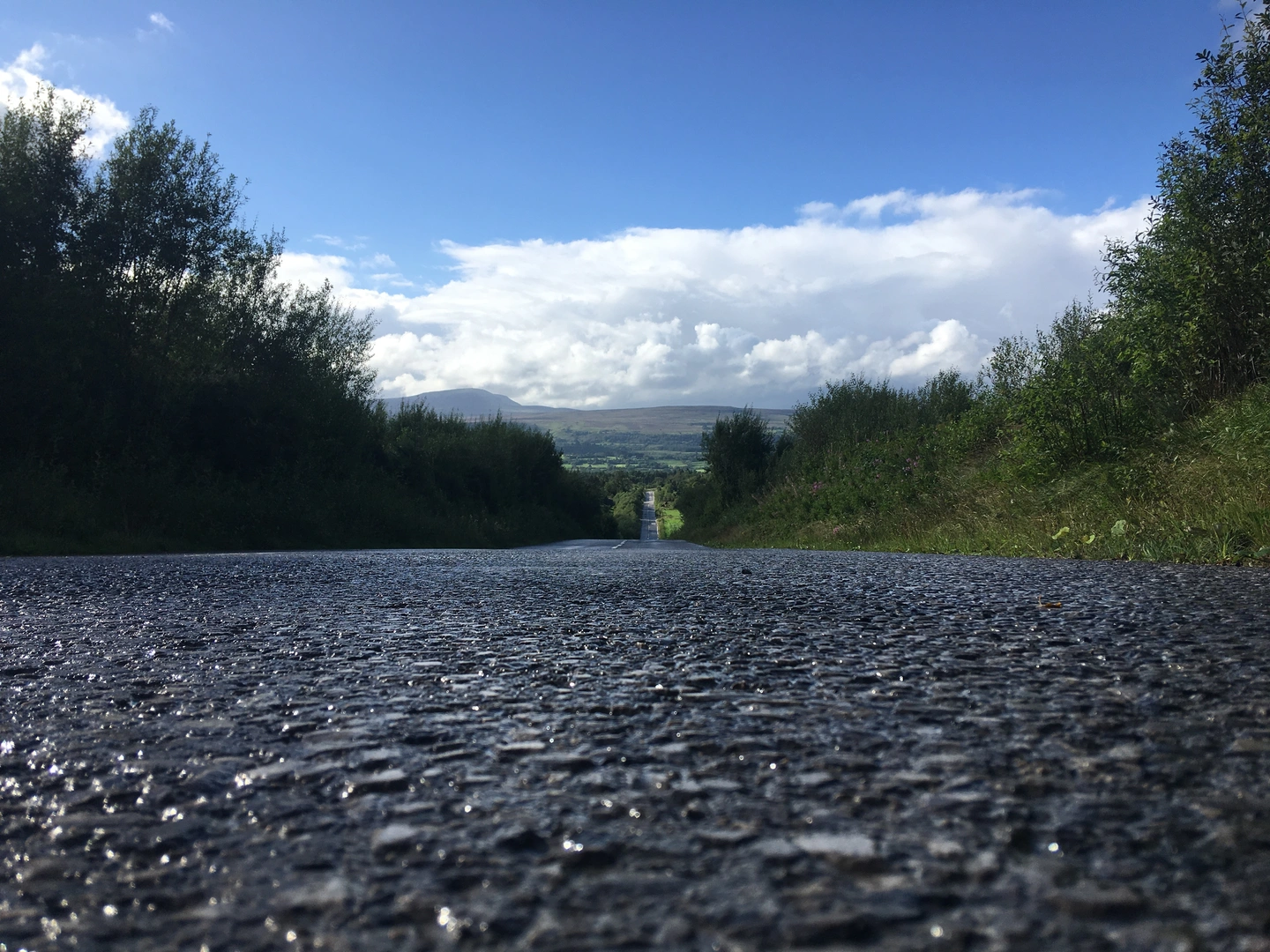 An image depicting the trail Ballyconnell - Canal Loop and its surrounding area.
