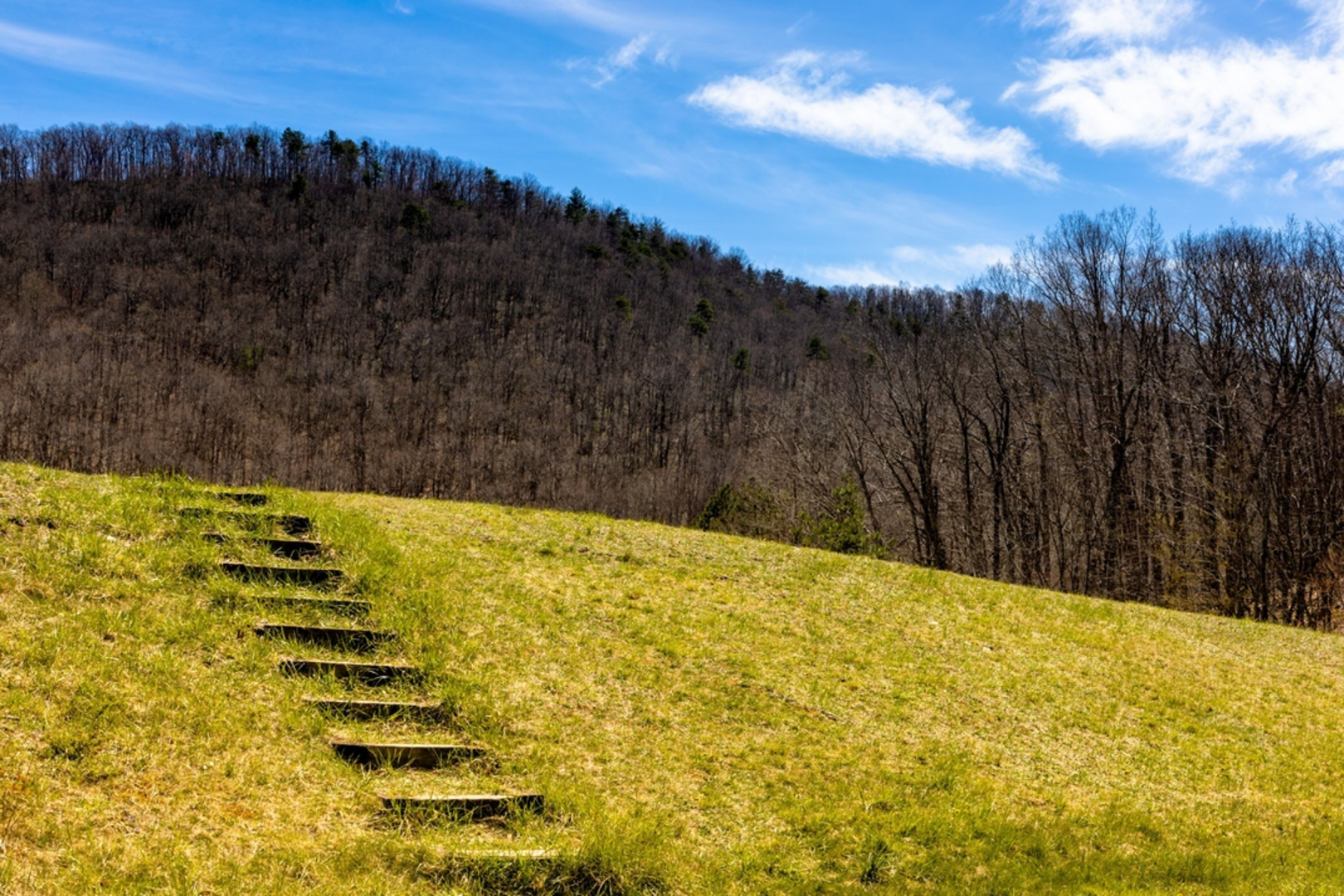 An image depicting the trail Mills Creek via Torry Ridge Trail and its surrounding area.
