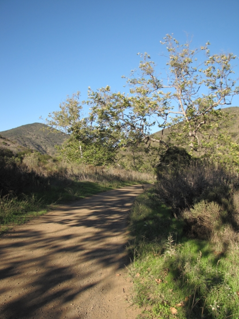 An image depicting the trail Two Foxes Trail and its surrounding area.