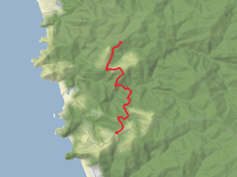 Hike on Kuataika Track thumbnail