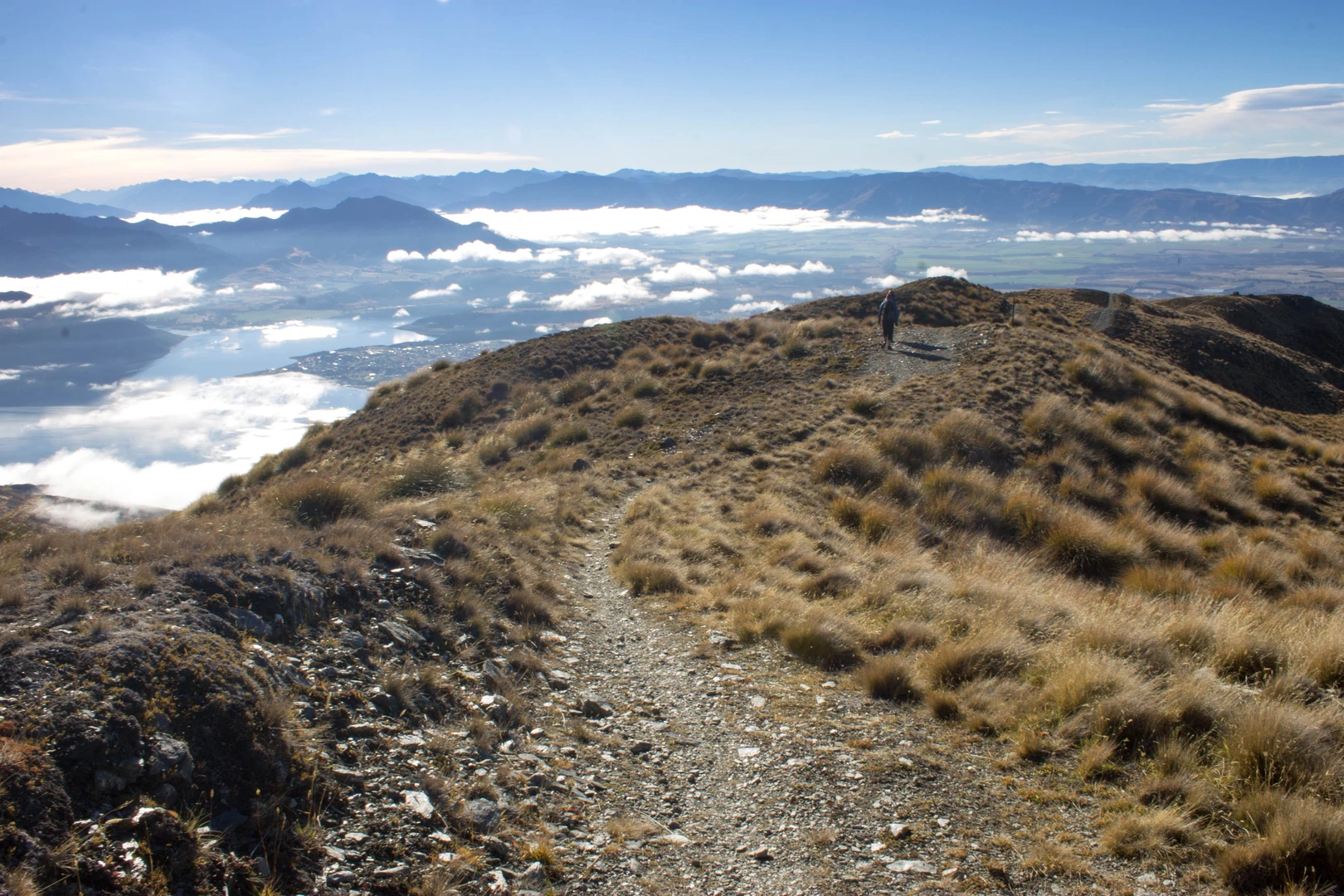 An image depicting the trail Skyline Walk and its surrounding area.