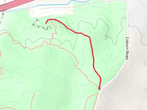 Coburn Road Out and Back
