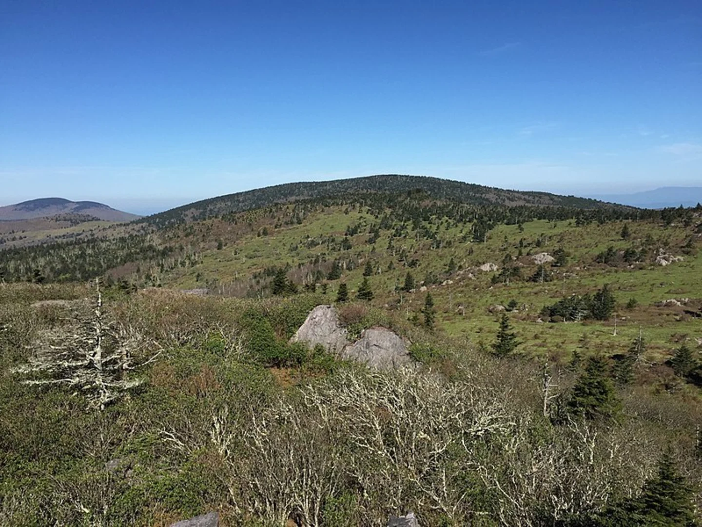 An image depicting the trail Lewis Fork Trail and its surrounding area.