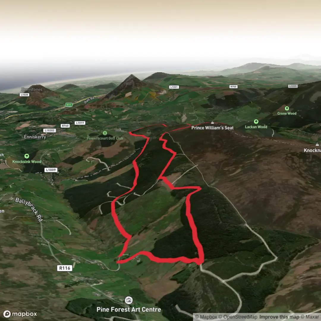 An image depicting the trail Boranaraltry Lane and its surrounding area.