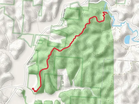 Lyra Trail