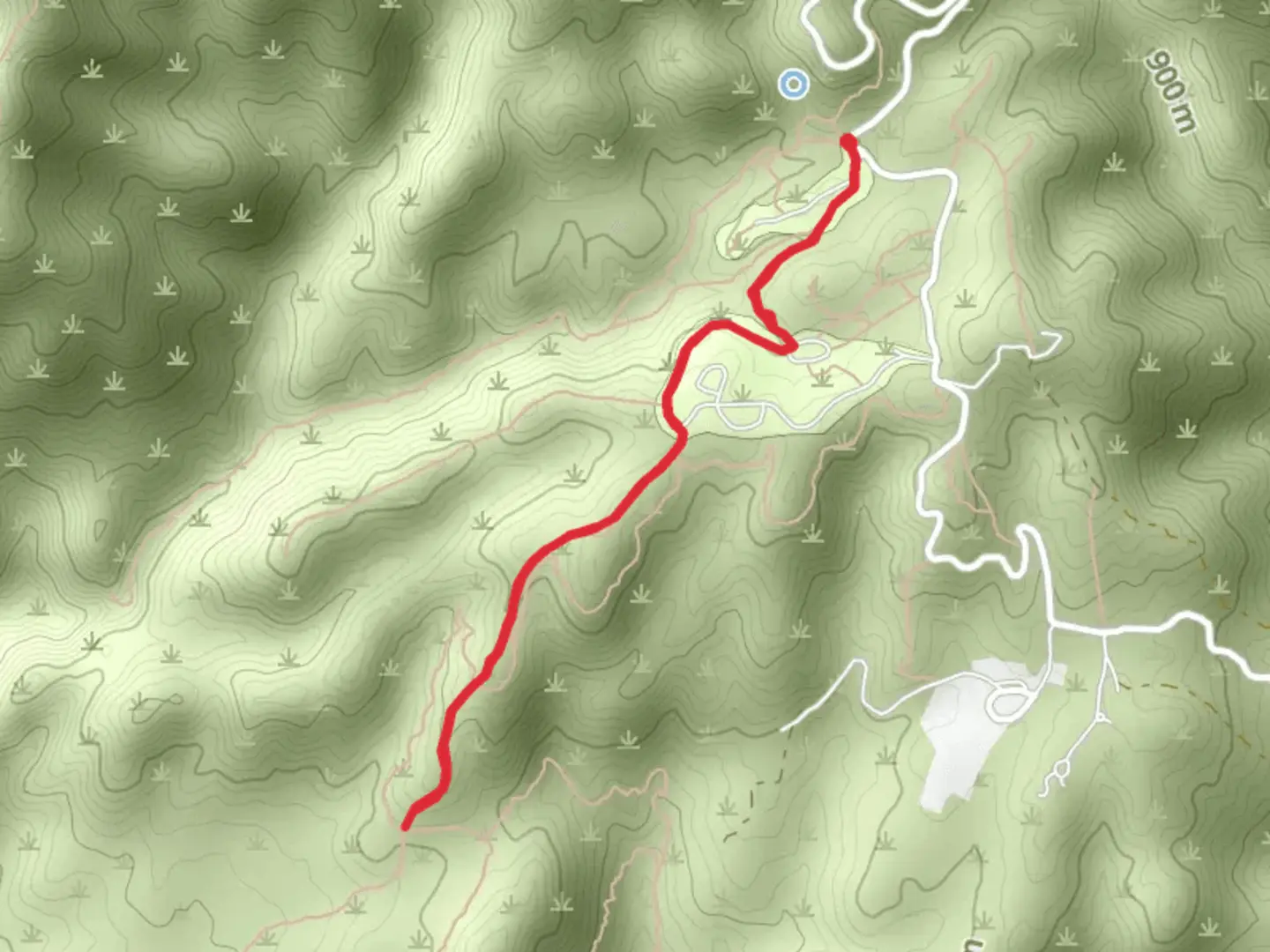 An image depicting the trail Falcon Trail and its surrounding area.