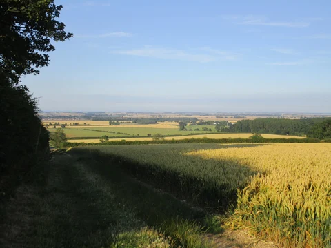 Hawerby Cum Beesby Park
