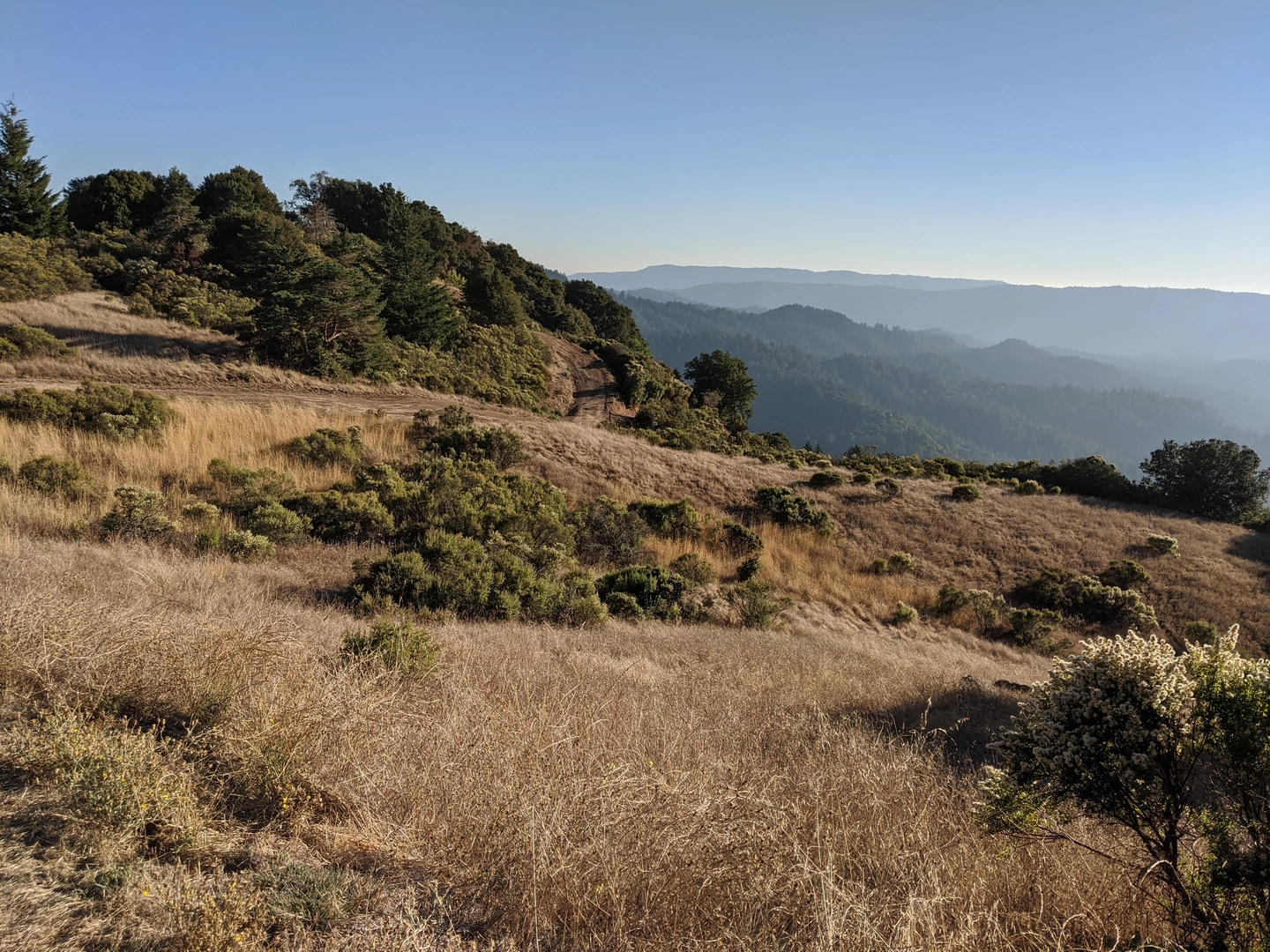 An image depicting the trail Horseshoe Lake and Sunny Jim Trail and its surrounding area.