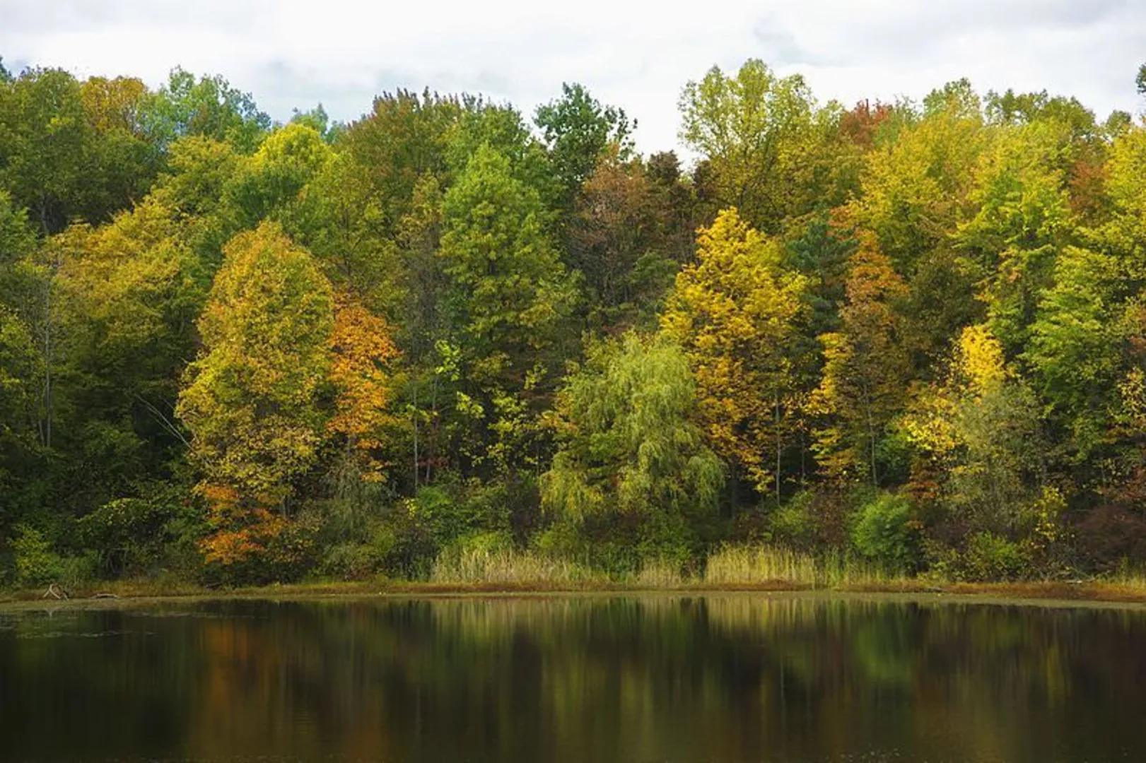 An image depicting the trail Oak Hill Trail and its surrounding area.