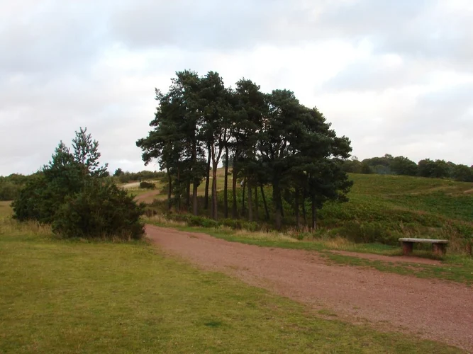 Clent Hills Country Park Loop