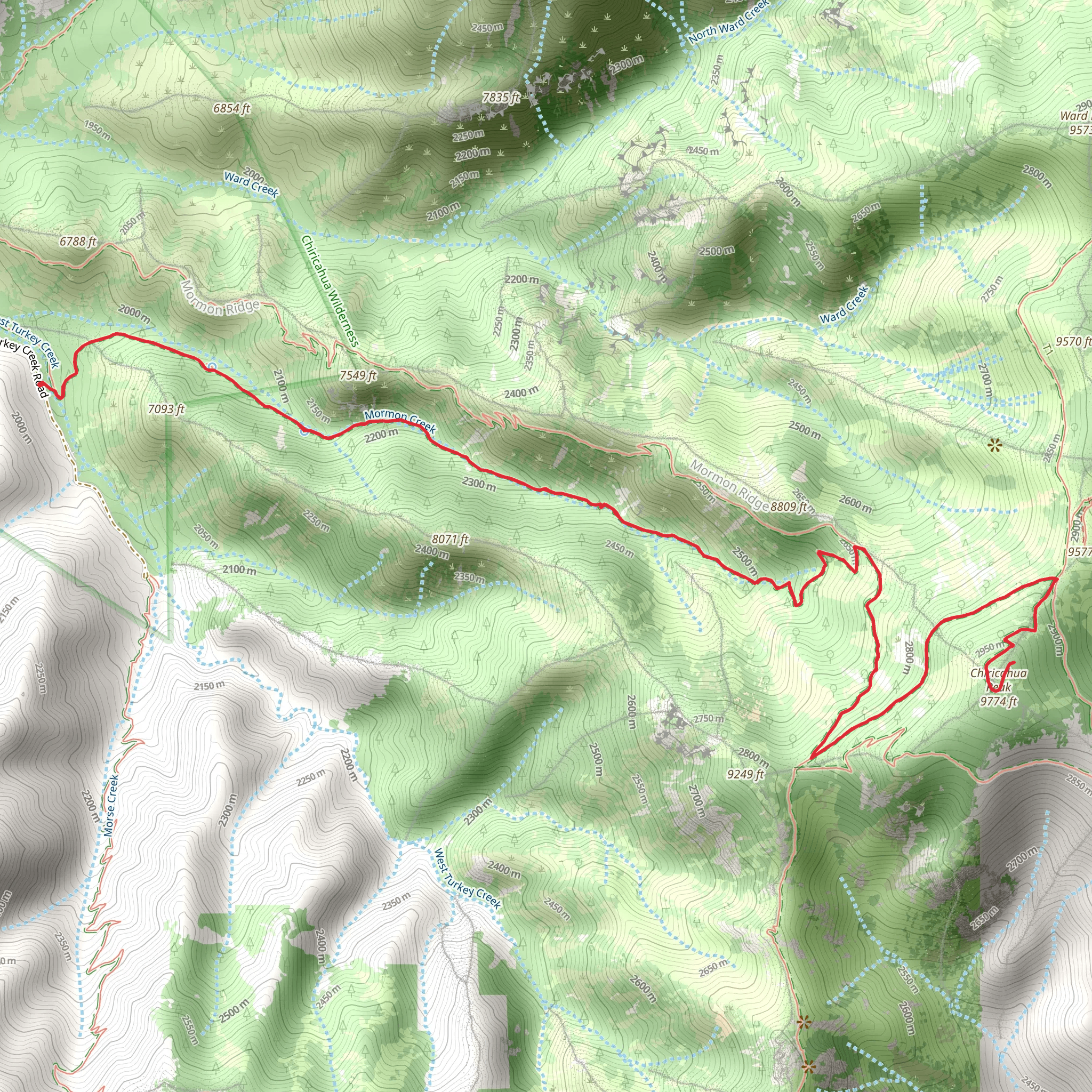 Chiricahua Peak and Mormon Saddle via Mormon Canyon Trail mobile static map