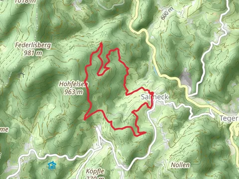 Glaserbergweg and Riedmattweg Loop