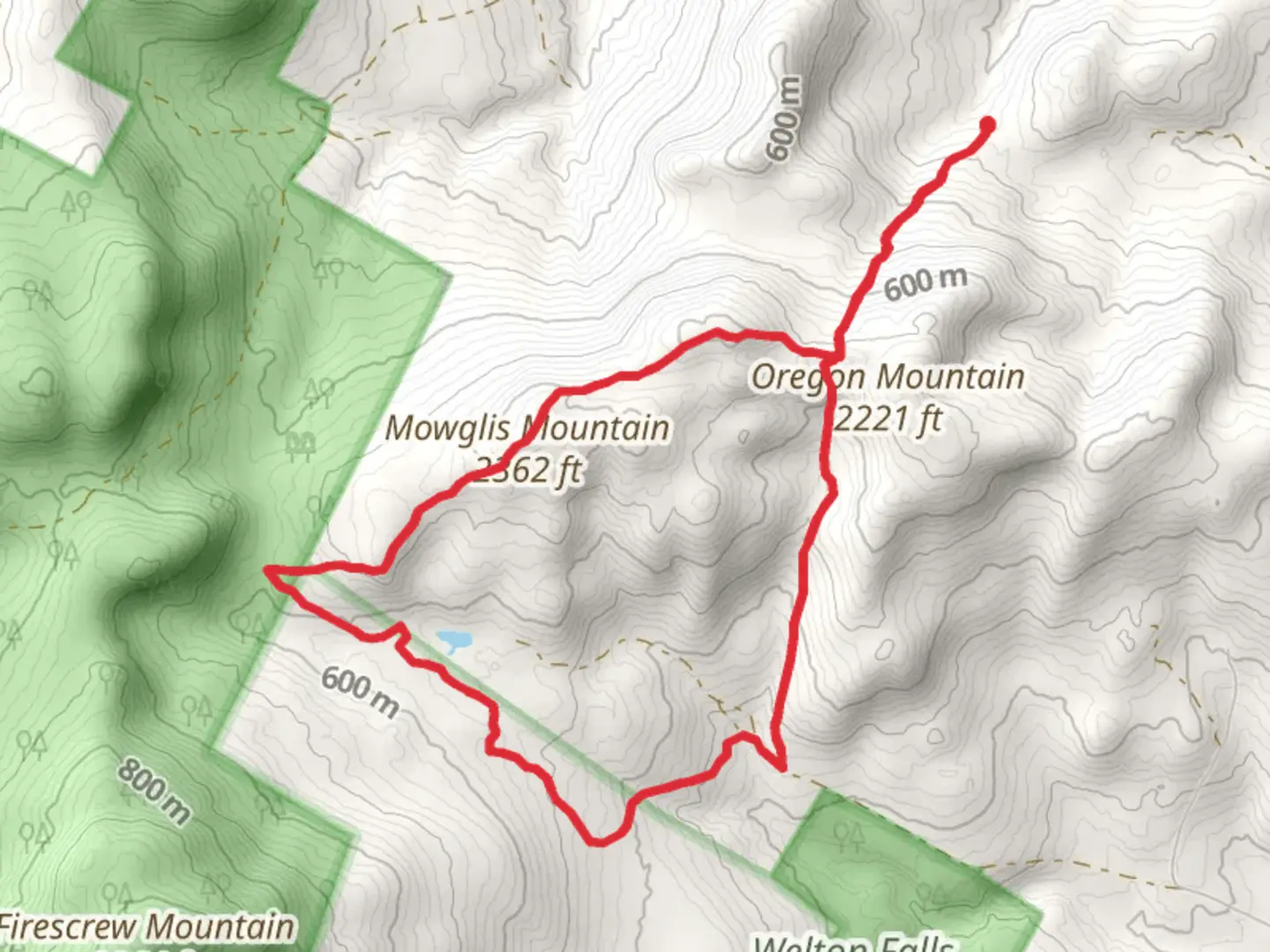 An image depicting the trail Mowglis Mountain and Beaver Pond Loop Trail and its surrounding area.