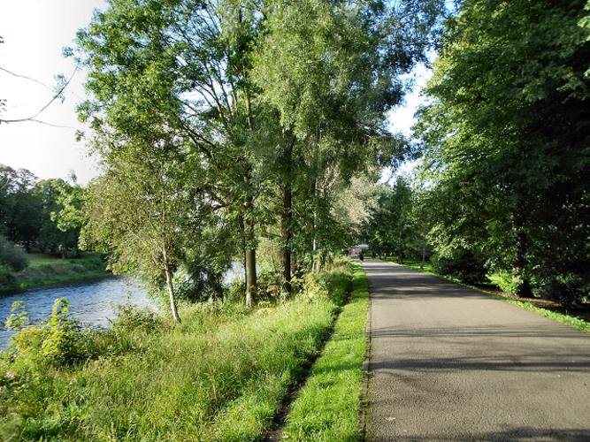 Bute Park Loop