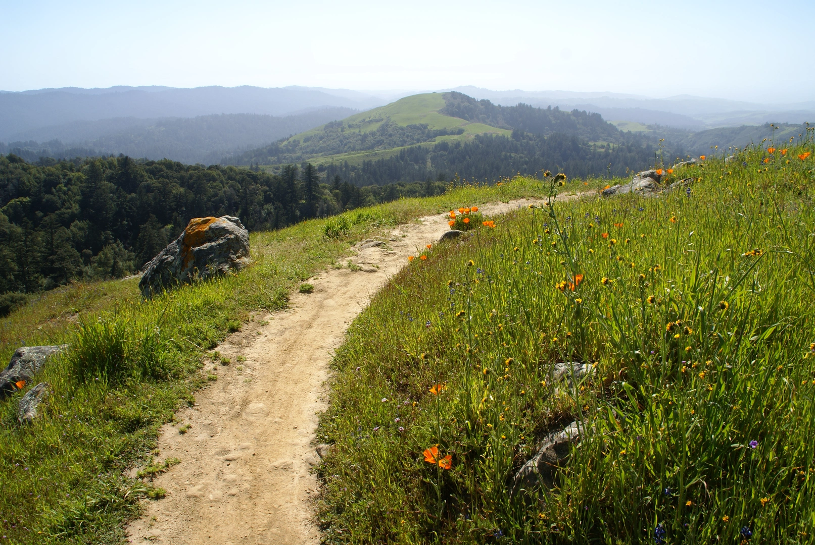 An image depicting the trail Borel Hill Loop and its surrounding area.