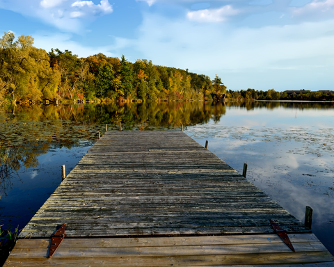Oak Ridges Trail