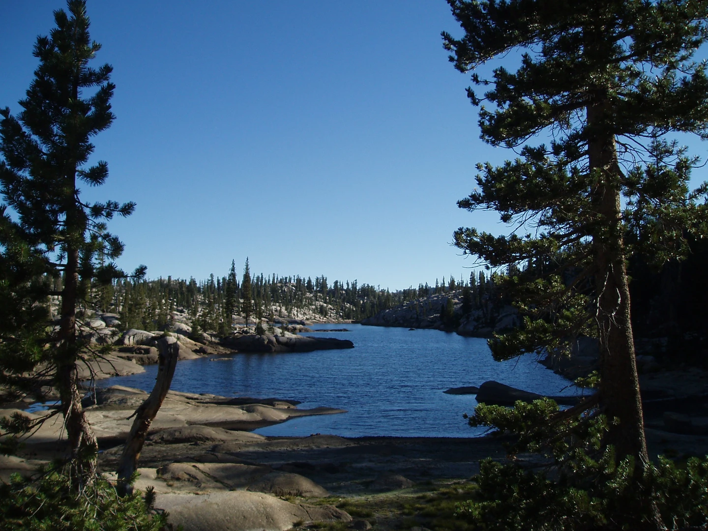An image depicting the trail Y Meadow Lake via Gianelli Trail and its surrounding area.