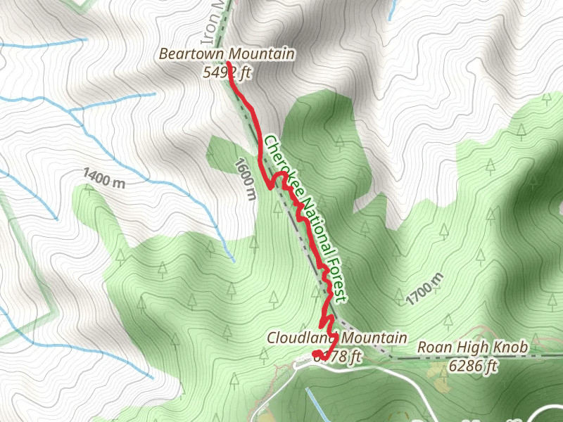 Ash Gap and Beartown Mountain via Appalachian Trail