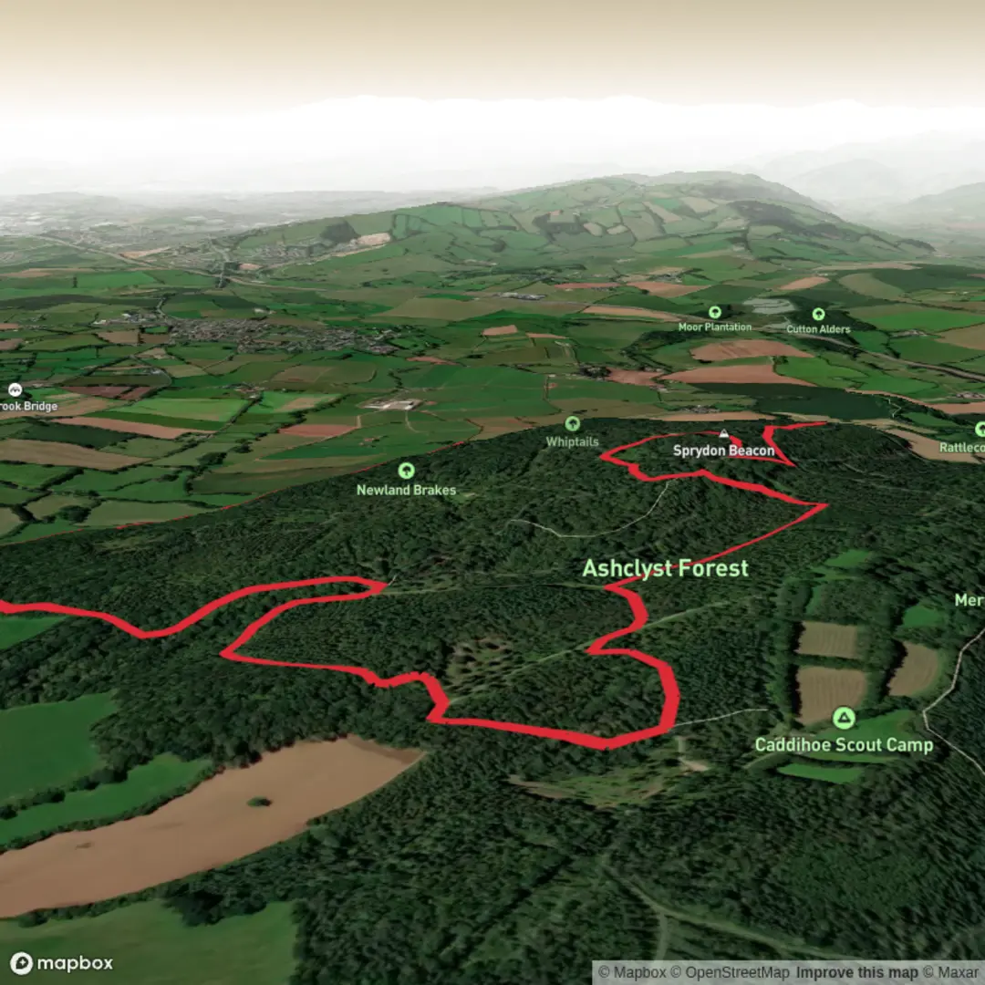 An image depicting the trail Ashclyst Circular and its surrounding area.