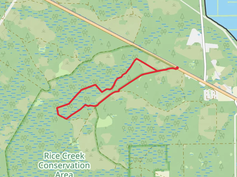 Rice Creek Swamp Loop