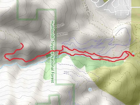 Creek Trail and Ash Canyon Road Loop