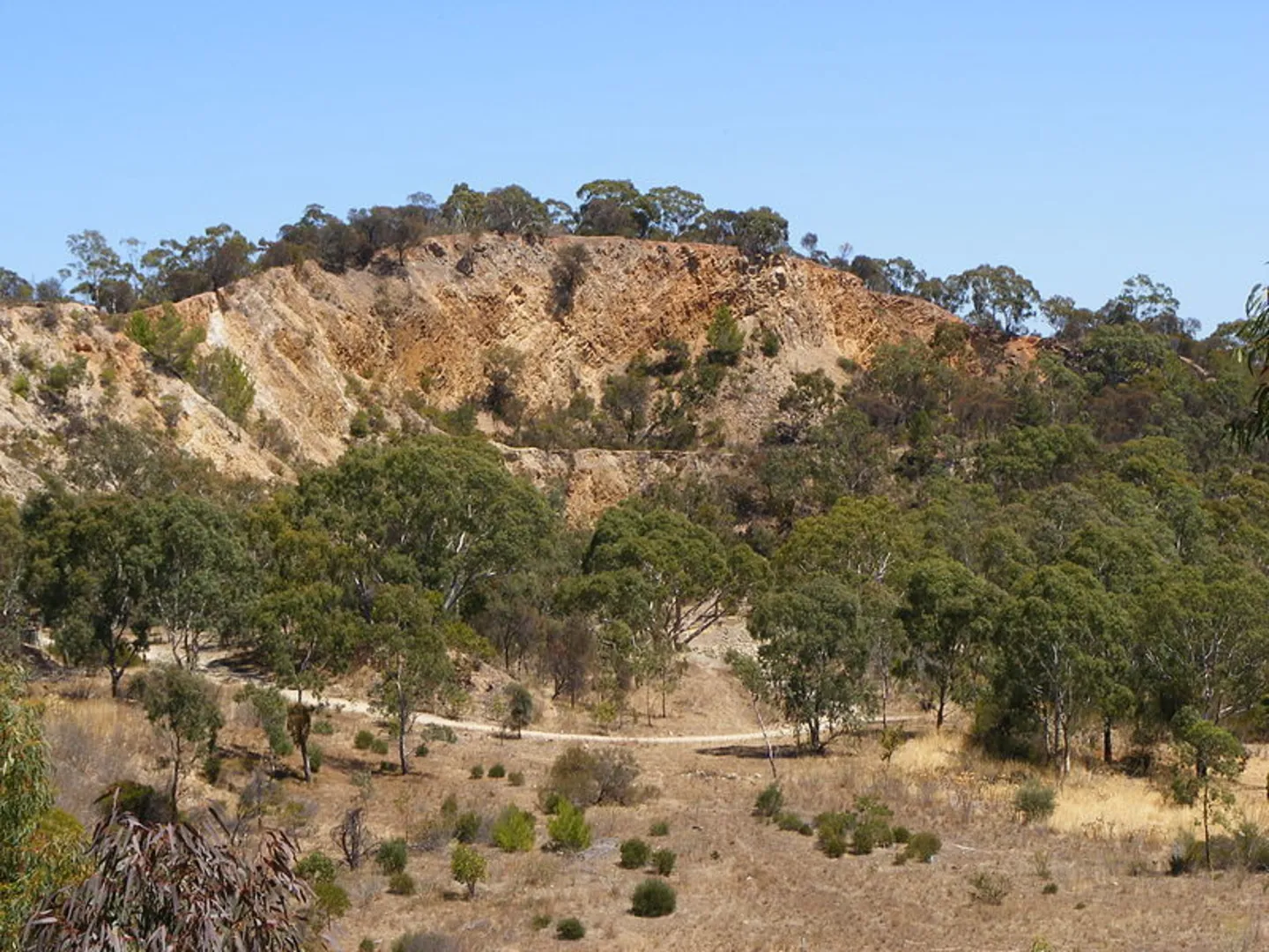 An image depicting the trail Anstey Hill Loop Walk and its surrounding area.
