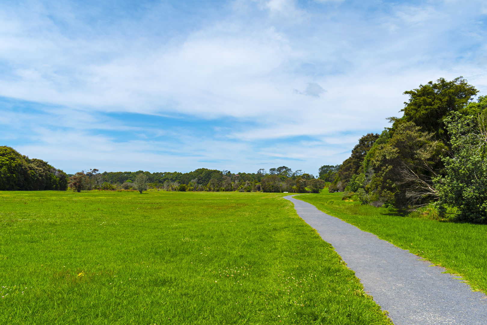An image depicting the trail Waiatarua Wetland Walk and its surrounding area.