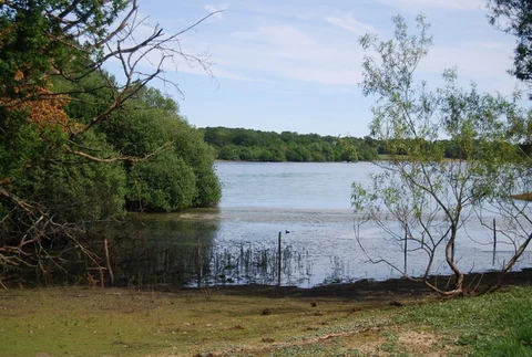 Bough Beech Reservoir