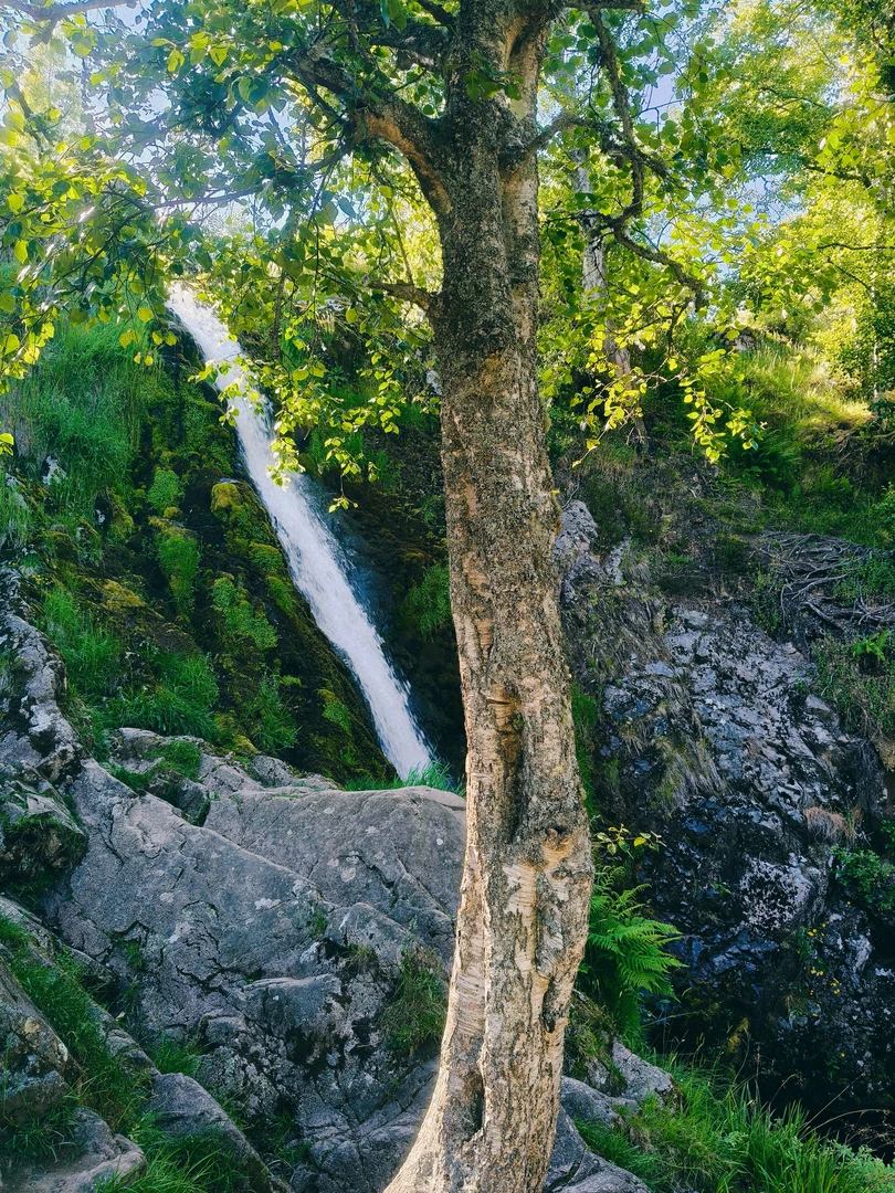 An image depicting the trail Linhope Spout Waterfall and its surrounding area.