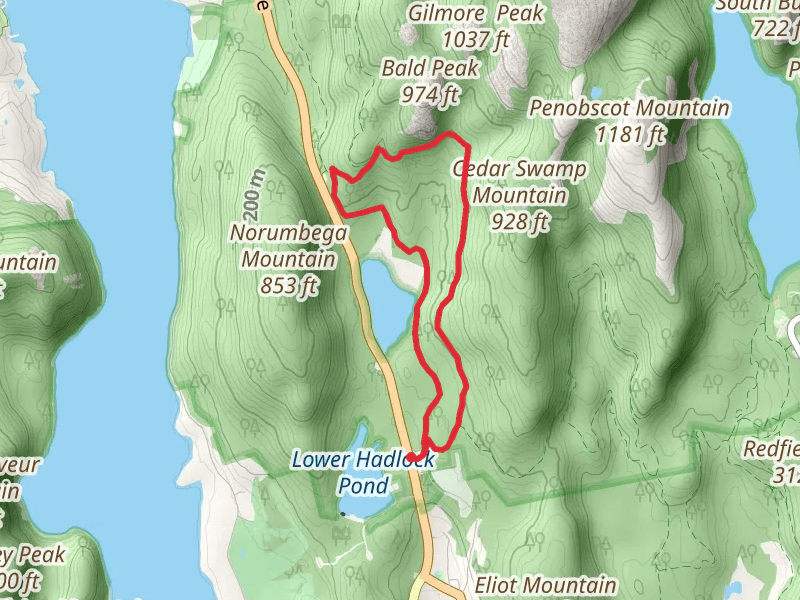 Hadlock Ponds Trail and Around-Mountain Carriage Road Loop