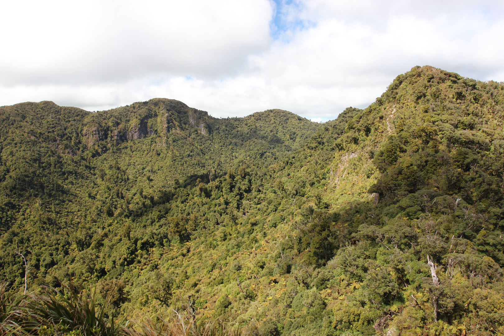An image depicting the trail Pirongia Summit - Bell Track and its surrounding area.
