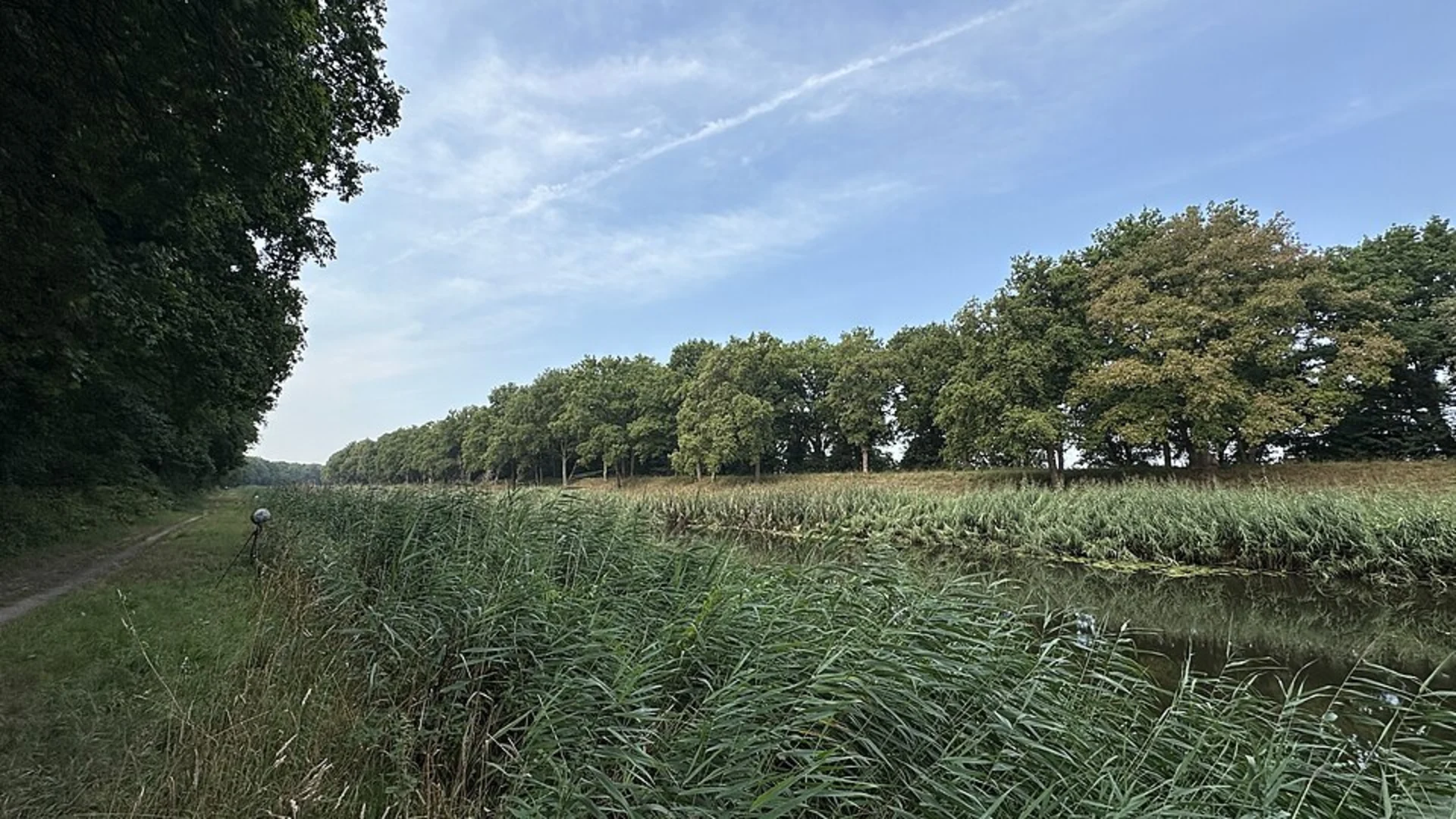 An image depicting the trail Varkensbos, De Tolberg and Helvoirtsche Loop and its surrounding area.