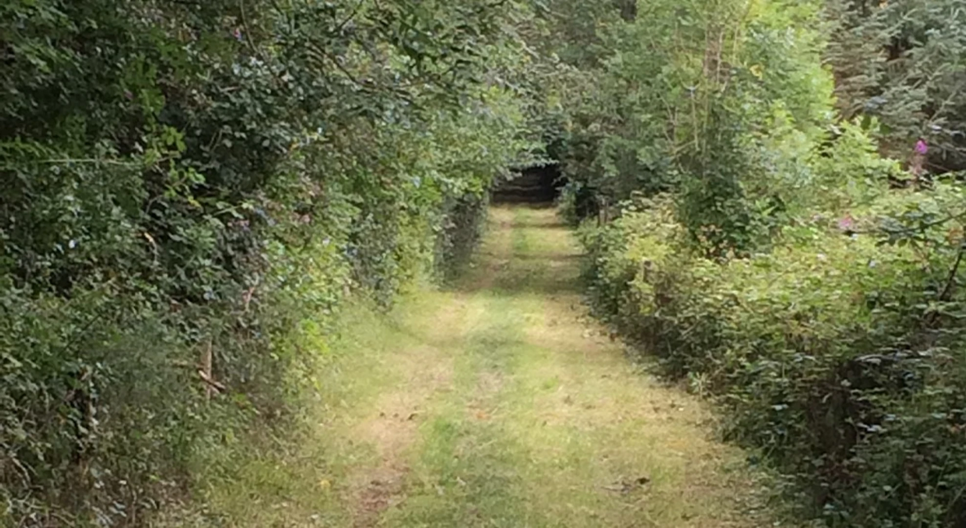 An image depicting the trail Freshford Loop and its surrounding area.