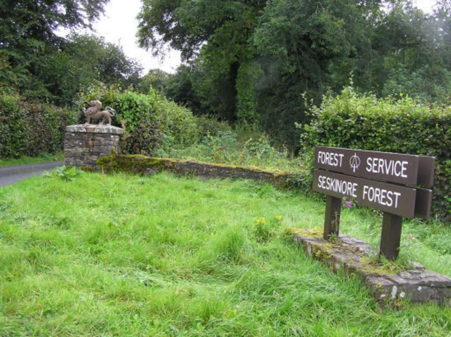 An image depicting the trail Seskinore Forest Walk and its surrounding area.