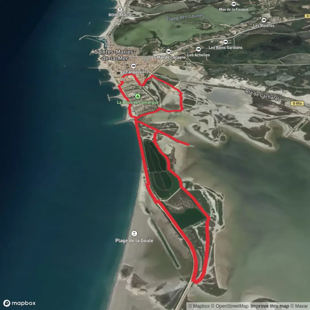 An image depicting the trail Parc Naturel Régional de Camargue - Aug 29 and its surrounding area.