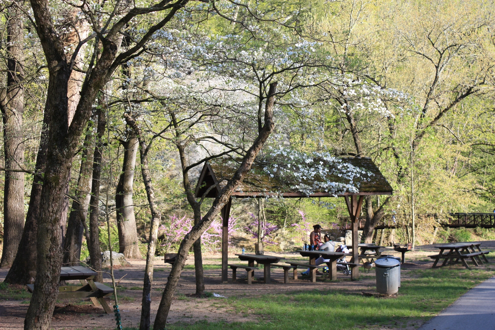 An image depicting the trail Pennypack Creek - Walnut Hill and its surrounding area.