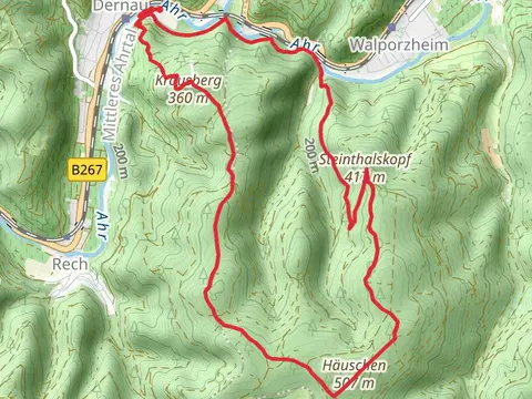 Krausberg and Steinthalkopf via Ahrtalweg