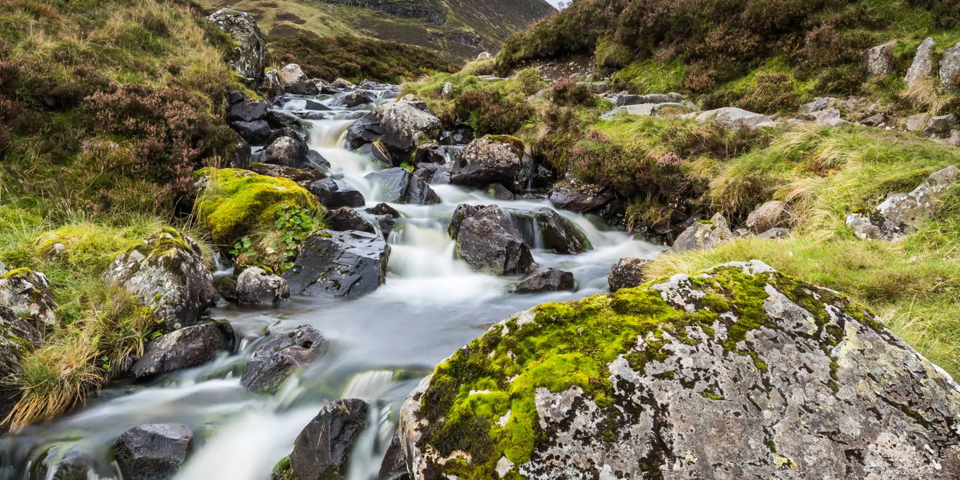 An image depicting the trail Grey Mare's Tail and its surrounding area.