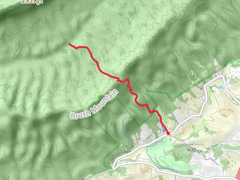 Jacob's Ladder Trail
